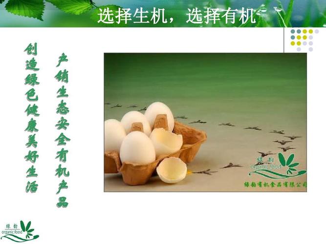 某公司有机农产品市场营销策划案